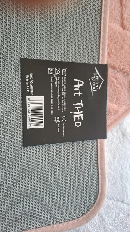 Tappeto bagno antiscivolo Art Theo 50×80